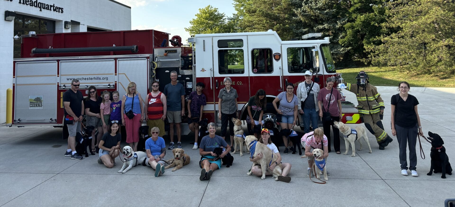 A group of people accompanied by Labrador and Lab/golden puppies of varying ages and sizes look at the camera in front of a firetruck.