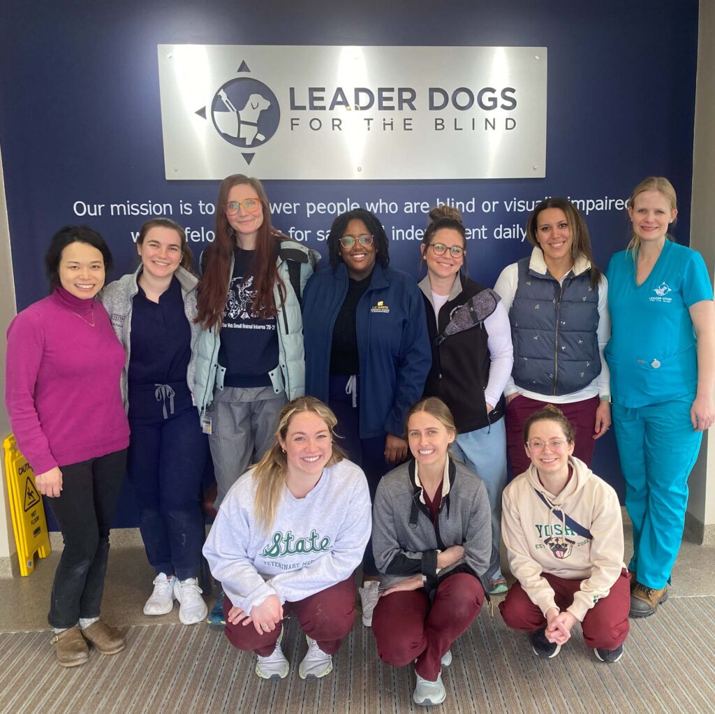 How Veterinary Students and Leader Dog Collaborate to Ensure Healthy Eyes in Future Leader Dogs