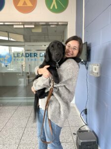 A woman with dark brown hair and wearing a gray cardigan, jeans and glasses holds a black Lab/golden retriever adolescent puppy in the Leader Dog Admin Lobby.