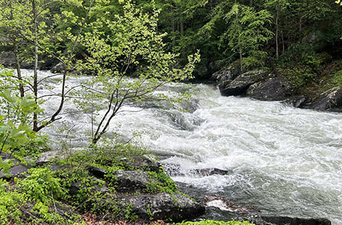 On the Road with Barry: North Carolina