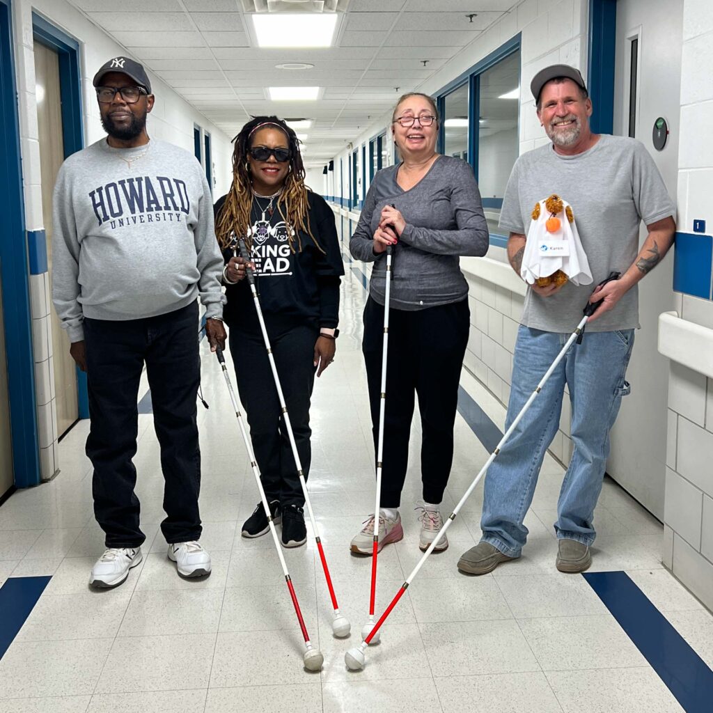 About Blindness and Low Vision