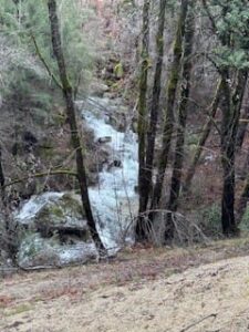 A view from a hiking trails of trees and a river