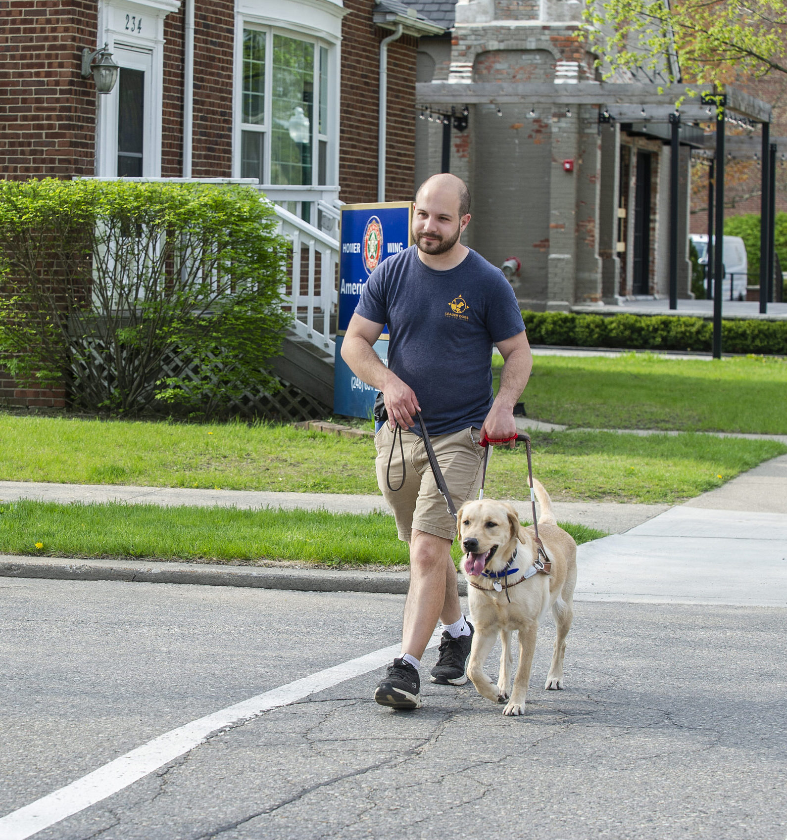 A man walks a golden retriever on a sunny suburban street lined with greenery and charming brick houses.