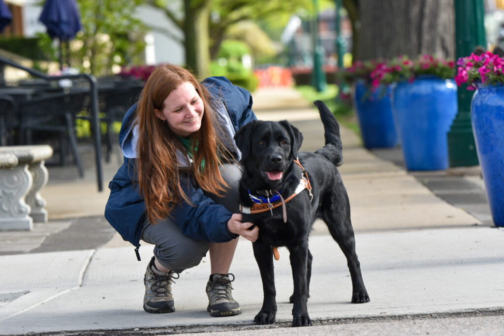 A person kneels next to a happy black dog on a tree-lined street, enjoying a sunny day.