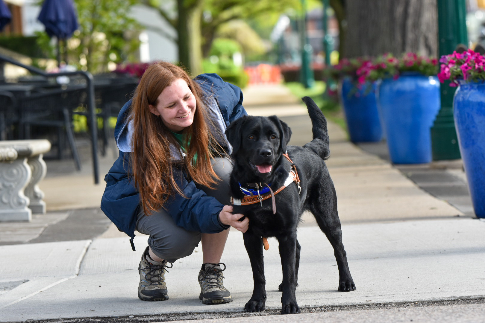 A person kneels next to a happy black dog on a tree-lined street, enjoying a sunny day.