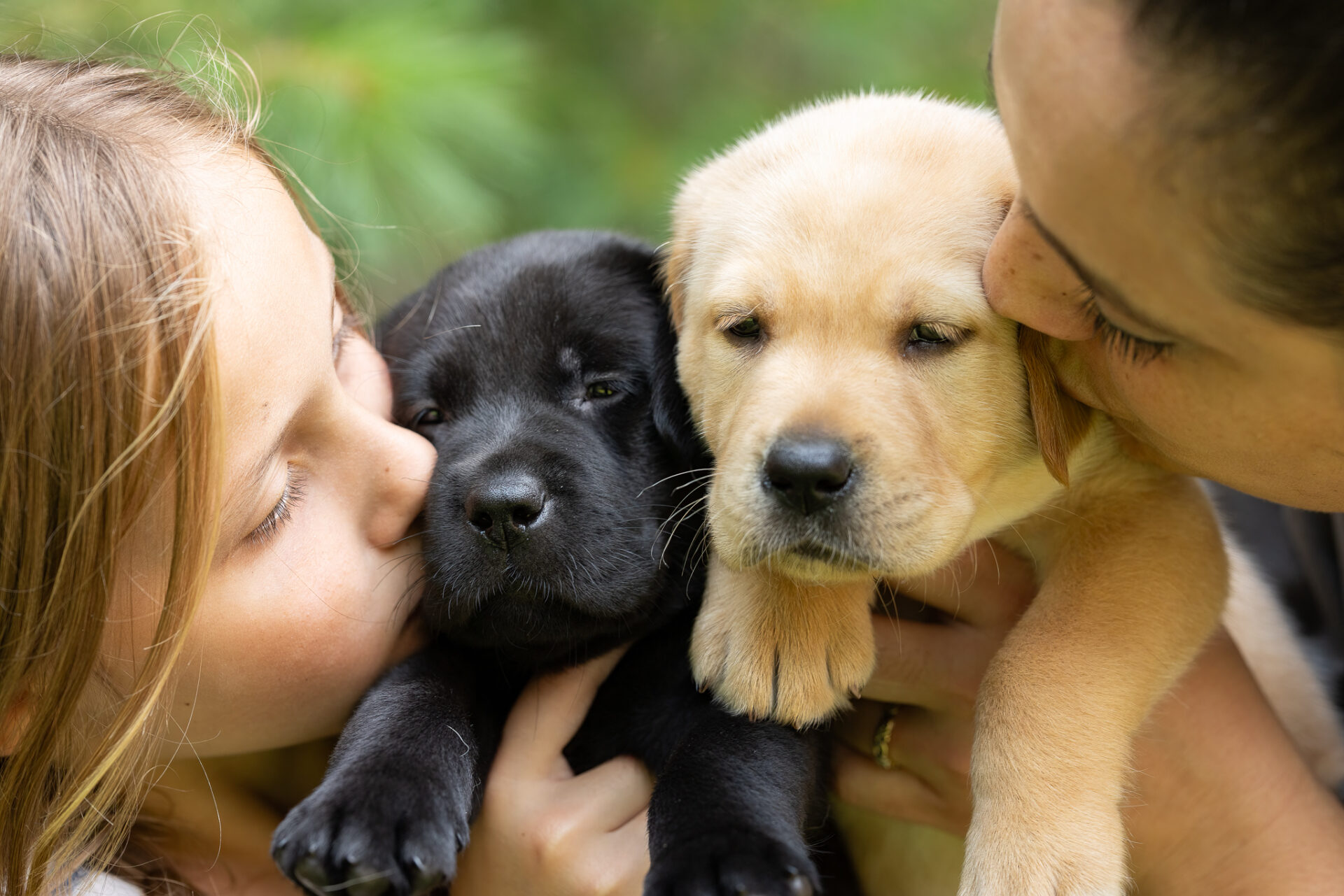 Two puppies are being lovingly held and kissed by a child and an adult, creating a heartwarming scene.