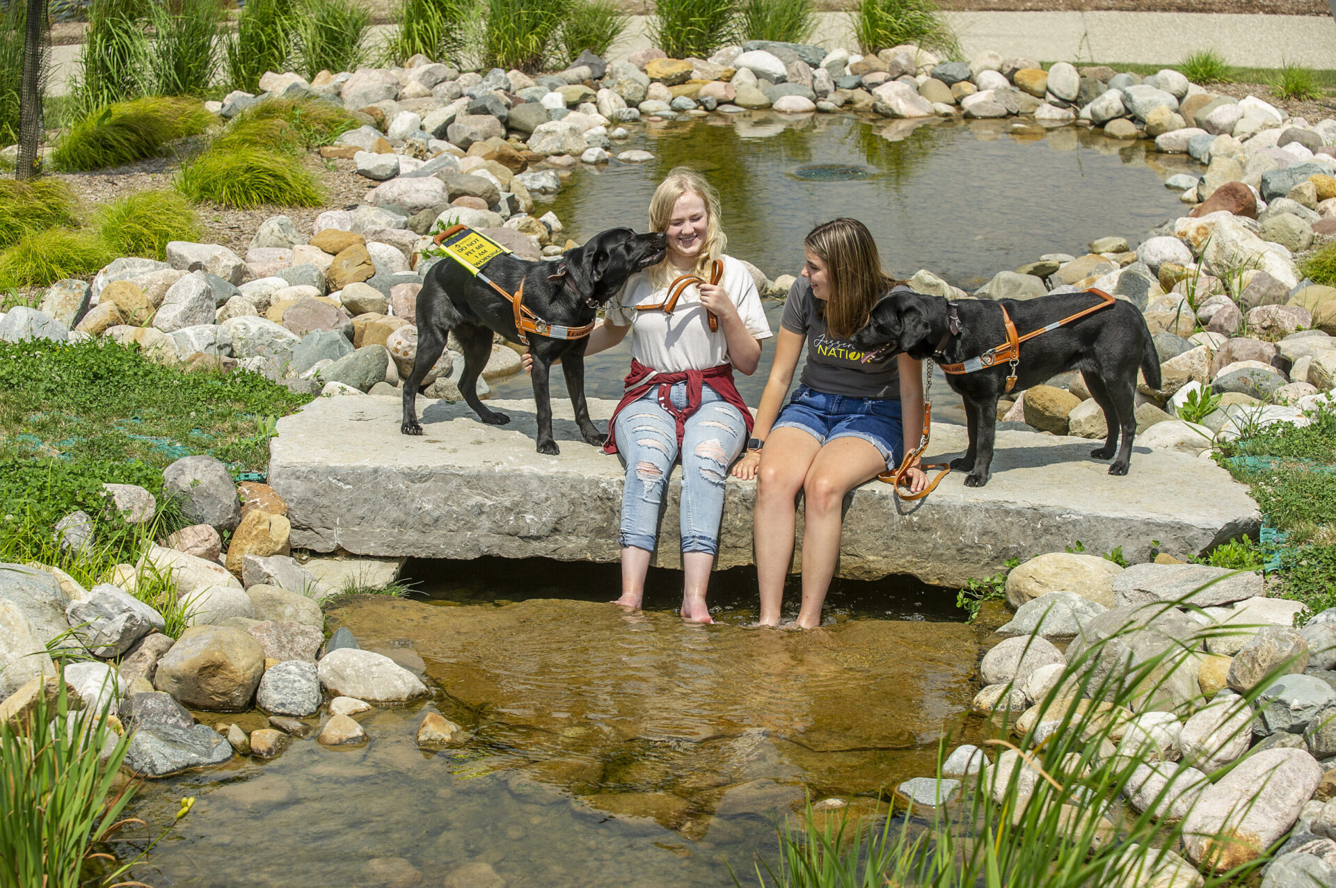 Two individuals sit on a rock by a pond, interacting with two dogs who are wearing harnesses.