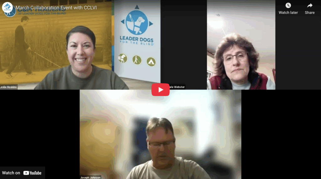 Council of Citizens for Low Vision (CCLVI)