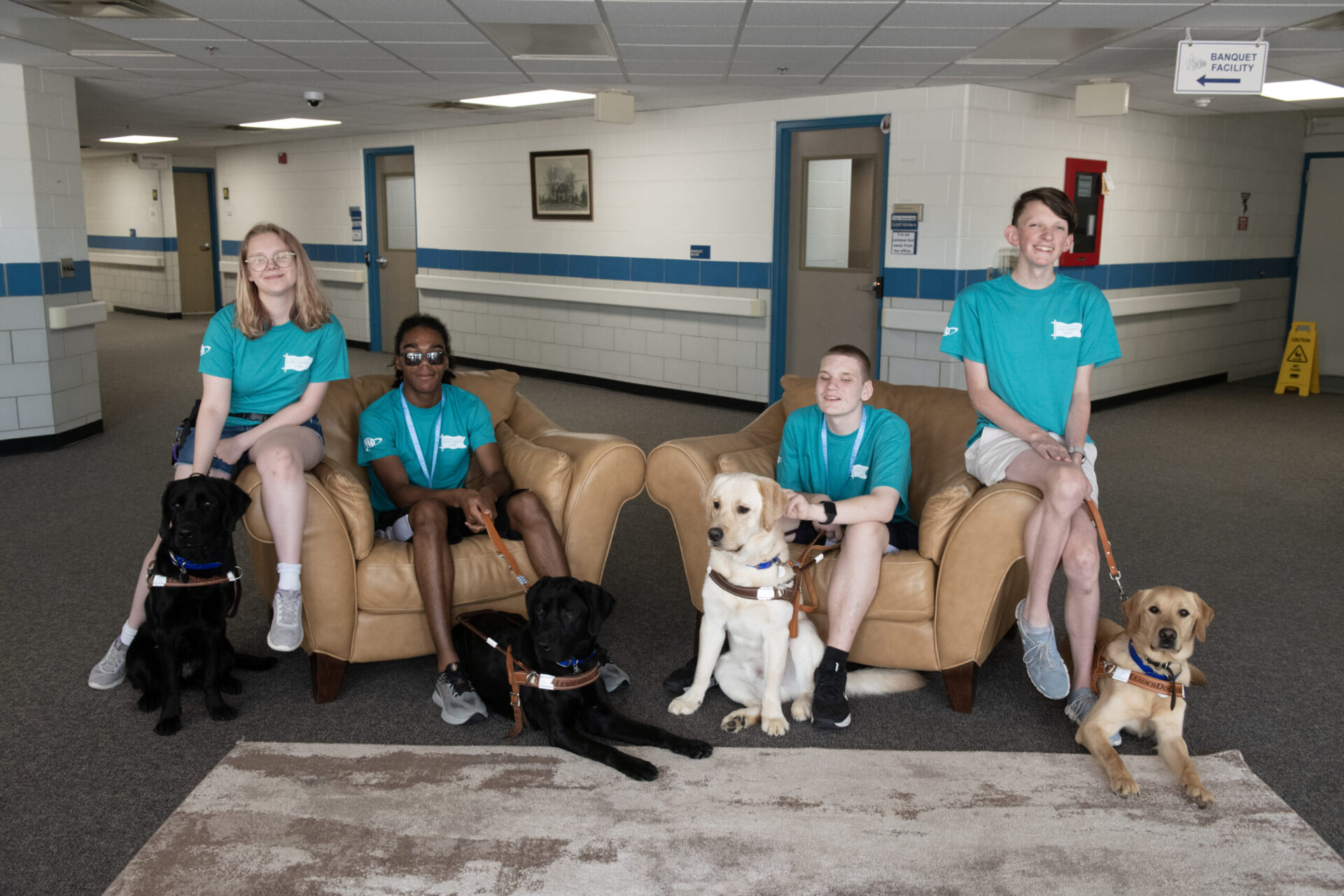 A group of individuals in matching teal shirts are sitting on armchairs with several service dogs in a well-lit indoor setting.