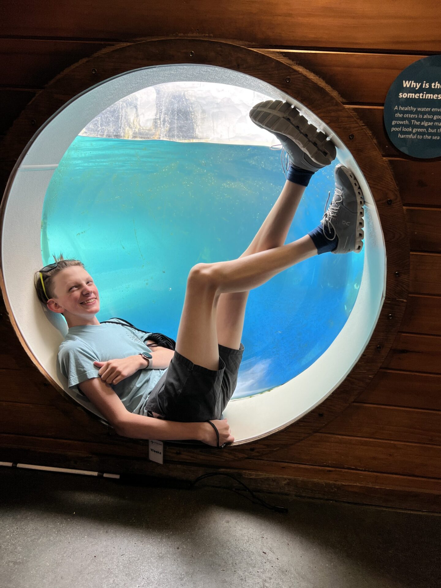 A teen boy laying in a circular aquarium window, smiling toward the camera.