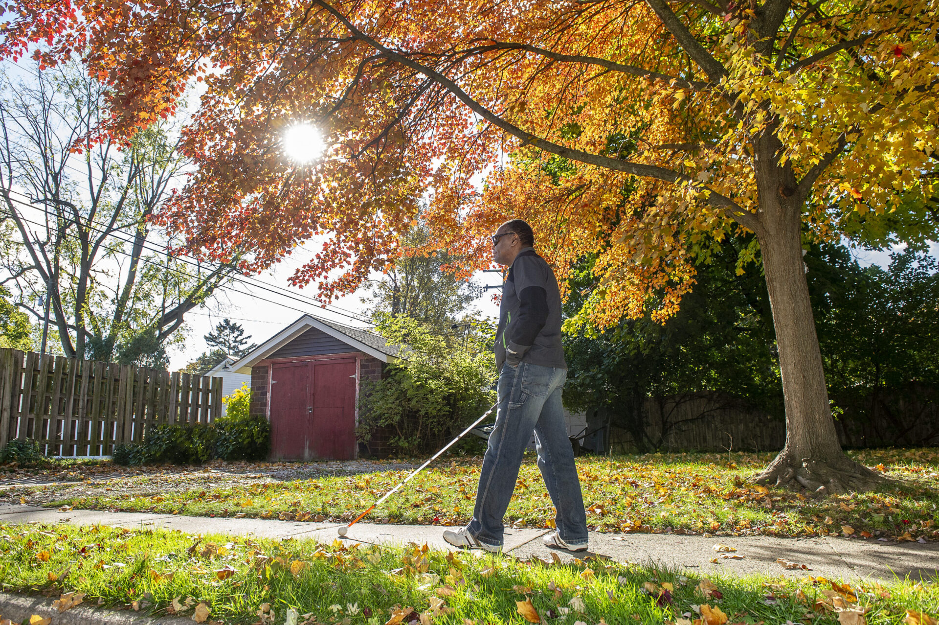 A person walks along a sidewalk covered in colorful autumn leaves, with sunlight filtering through the vibrant foliage of a tree.
