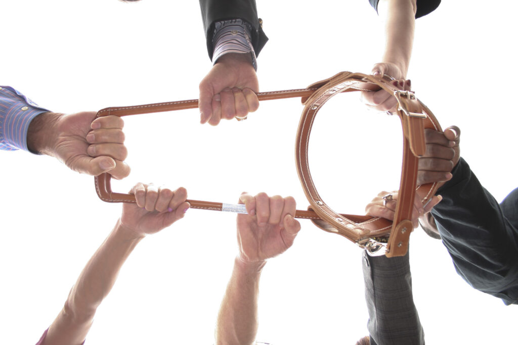 Multiple hands grasp a leather bag handle from different angles, creating a dynamic and engaging visual.