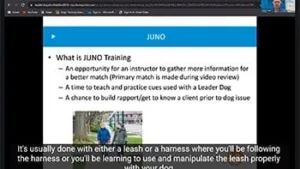 A presentation slide outlines the objectives and benefits of Juno Training, which focuses on preparing individuals to work with guide dogs.
