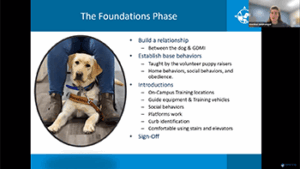 A presentation slide outlines the foundational phase of training service dogs, emphasizing relationship building, establishing behaviors, and various training introductions.