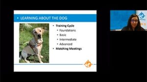 A presentation slide discusses a dog's training cycle, including foundational, basic, intermediate, and advanced stages, alongside a visible speaker.