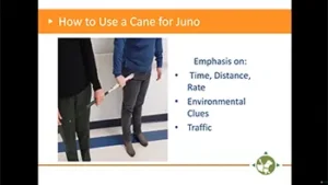 Orientation of Guide Dog Users