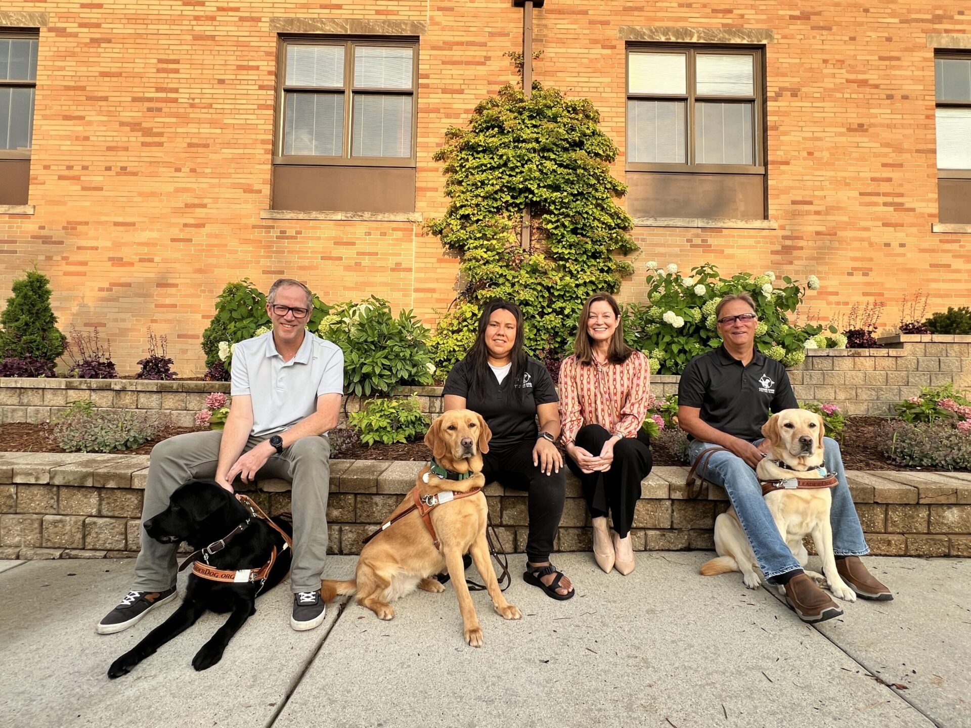 Four people sit on a stone wall with three guide dogs (one black Labrador and two yellow Labradors) in front of a brick building with landscaped gardens.