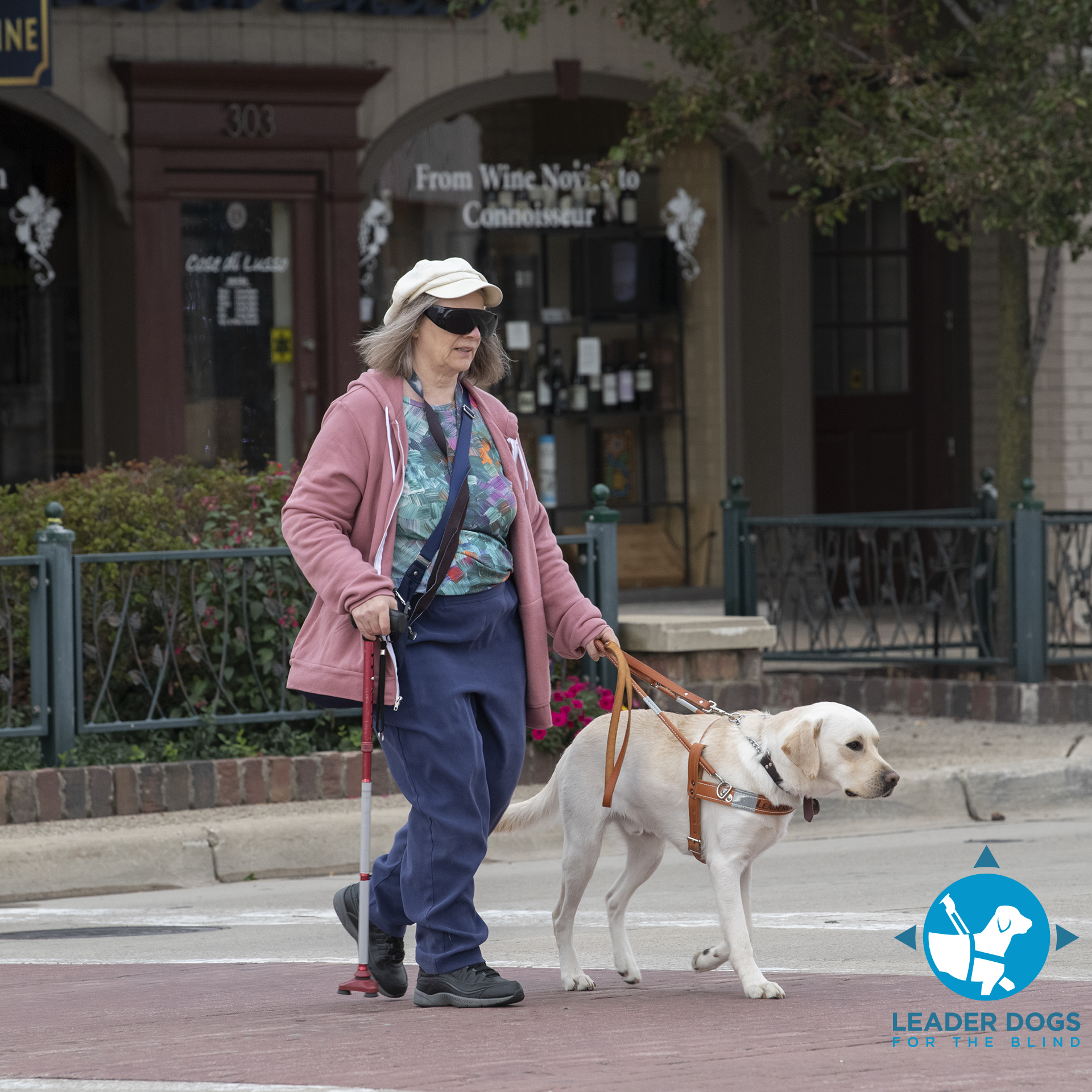 A person walks a guide dog along a sidewalk in a quaint outdoor shopping area.