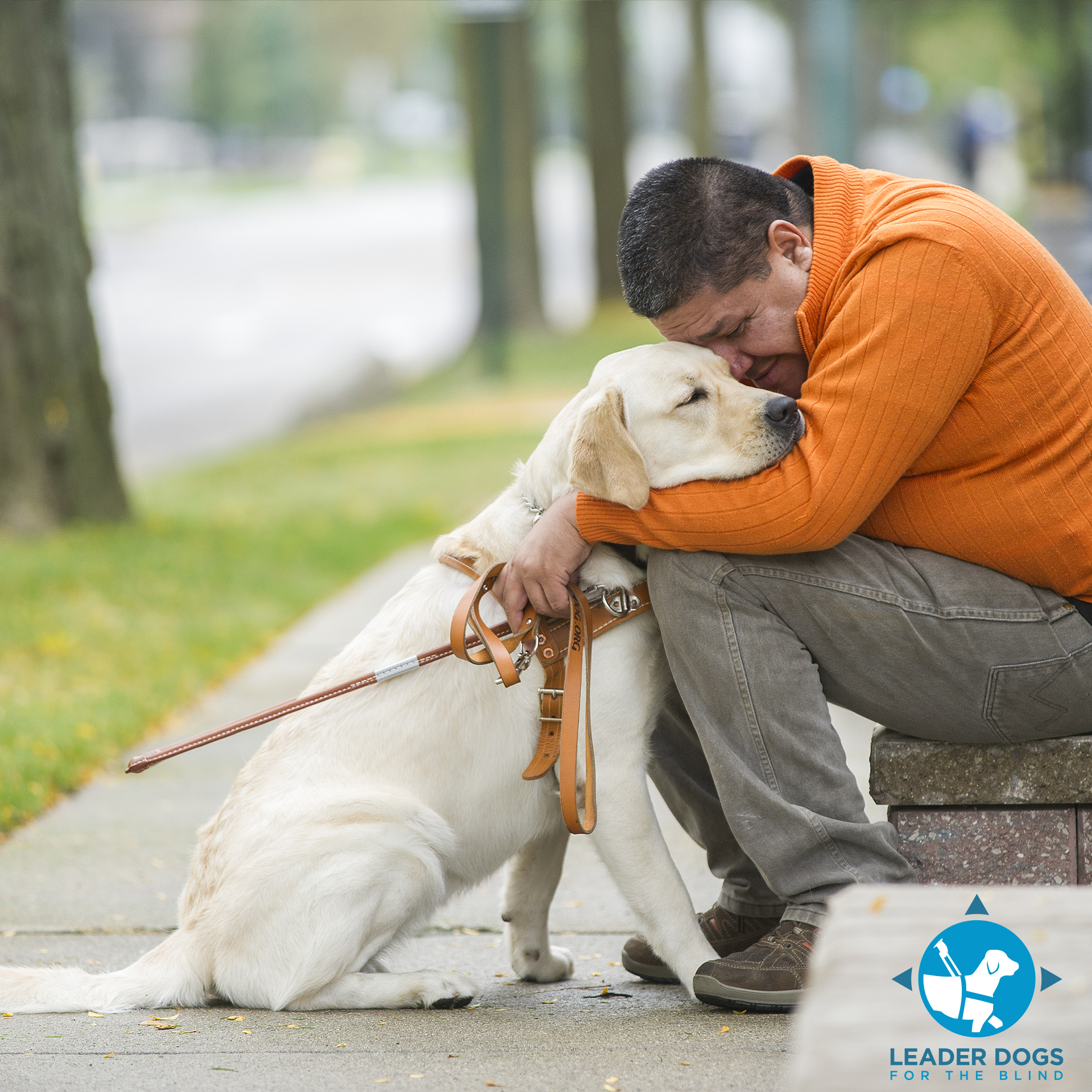 A person in an orange sweater shares a heartfelt moment with a yellow Labrador, embracing each other in a tranquil outdoor setting.