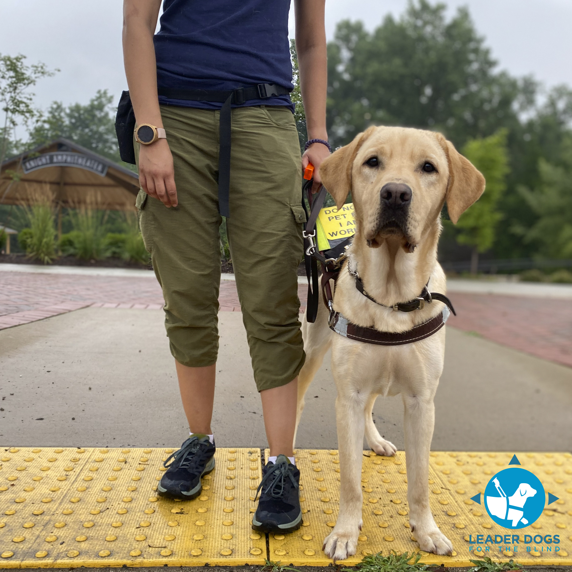 A person stands beside a guide dog on a textured surface, ready to assist in navigation.