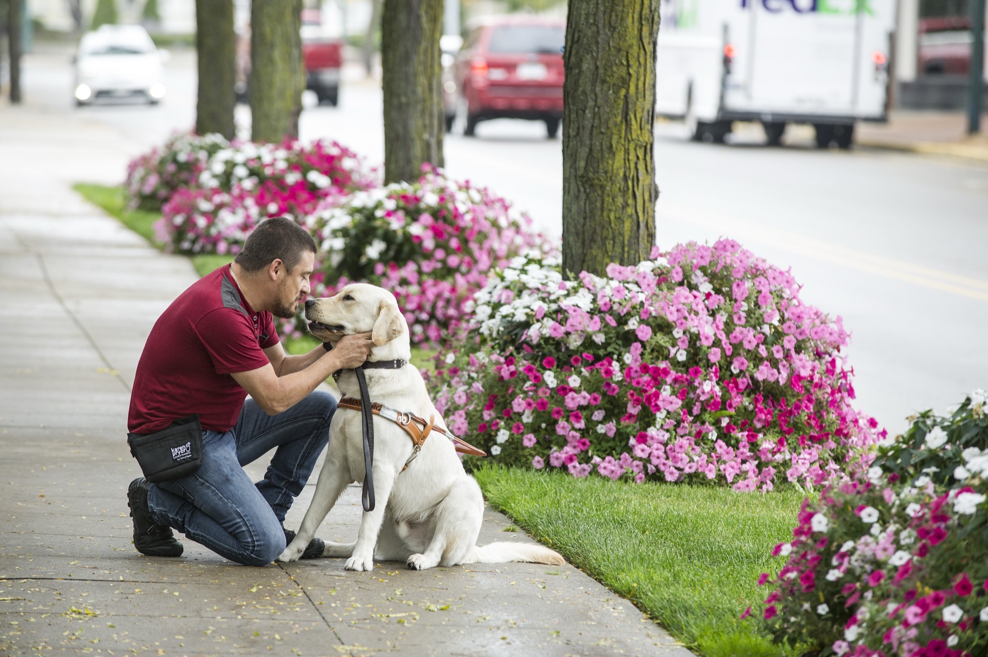 A person kneels down to affectionately kiss a friendly dog beside a colorful bed of blooming flowers along a sidewalk.
