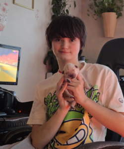 A young person wearing a graphic t-shirt holds a tiny golden retriever puppy with a red collar while sitting at a computer desk with gaming setup and houseplants in the background.
