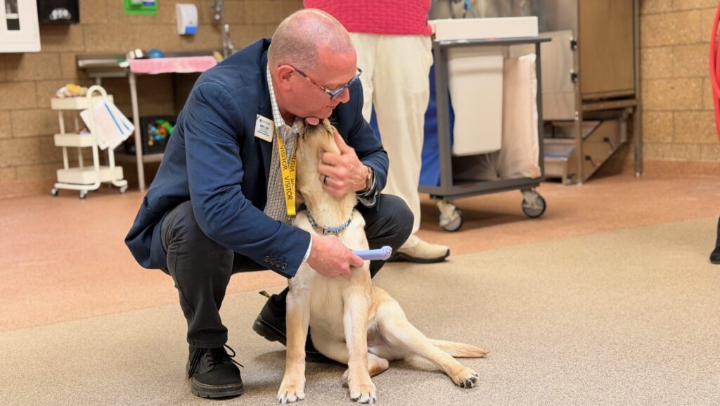 A man, Mark Lyon, is kneeling down to receive kisses from a yellow Labrador retriever puppy.