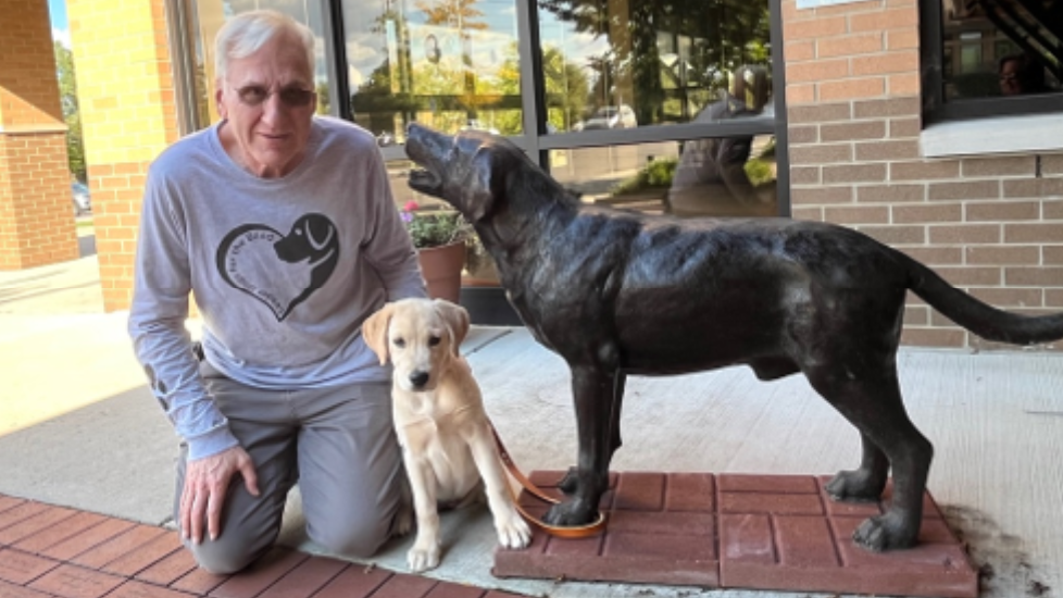 An older man wearing a gray long-sleeve shirt with a dog logo kneels on a brick sidewalk beside a small yellow Labrador puppy on an orange leash. Next to them is a life-size bronze statue of a dog outside a brick building.