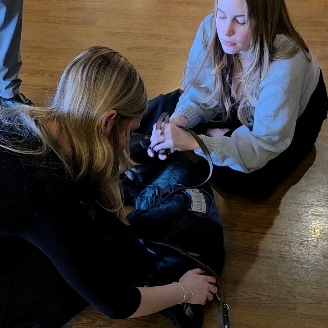 Two adults kneel on a wooden floor petting a black Lab in a Future Leader Dog vest lying calmly between them; a leash and gear are visible nearby.