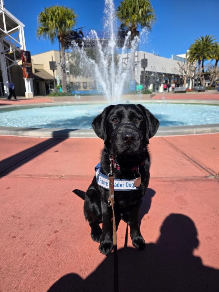 March 2026 – Future Leader Dog Roo Update