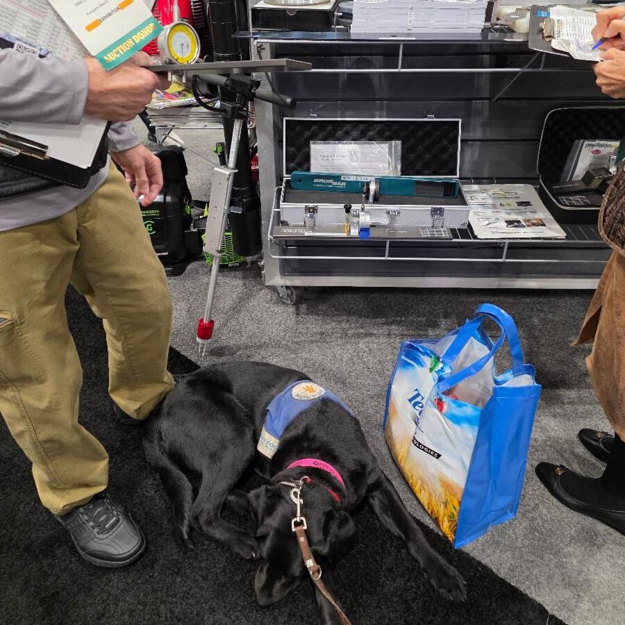 A black Labrador retriever wearing a Future Leader Dog vest and pink collar lies calmly on the floor of a busy tradeshow booth, surrounded by attendees' feet and displays of golf course equipment and supplies at the GCSAA Conference.
