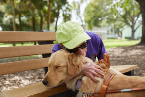 A person smiles warmly while hugging a golden retriever Leader Dog. The dog has its eyes closed and leans into the hug. They are sat at a park bench on a sunny day.