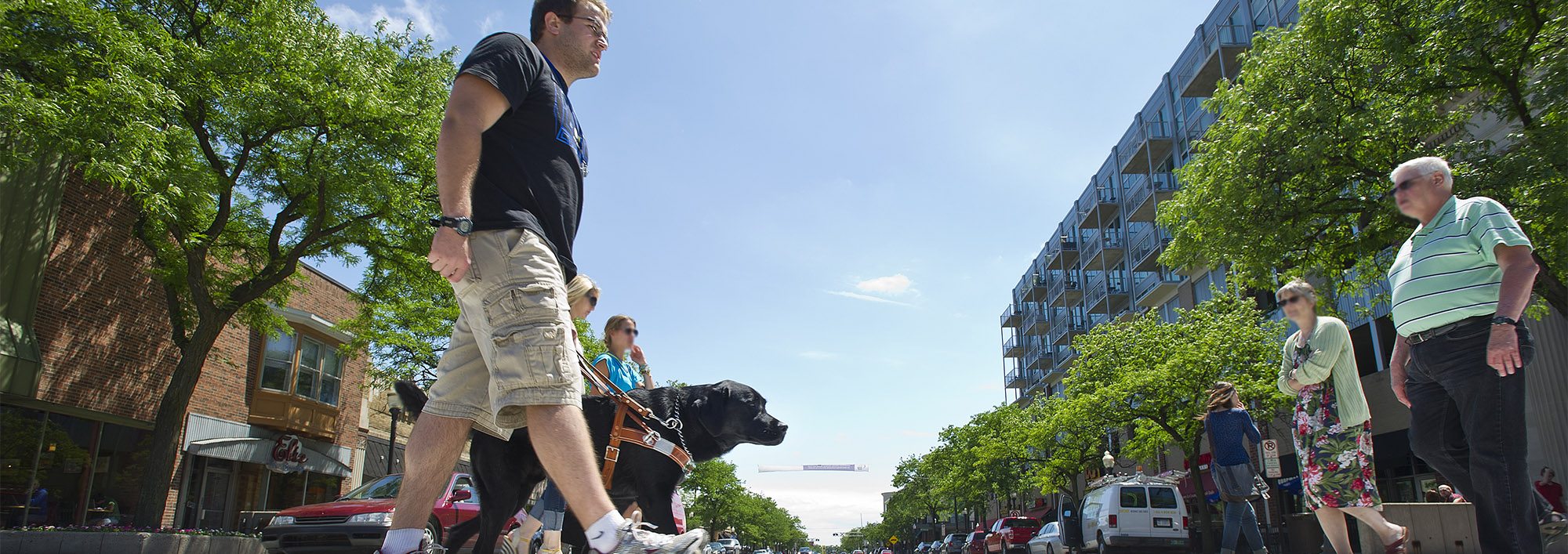 A man walks with a black lab in leather Leader Dog harness across a street with other people crossing in both directions