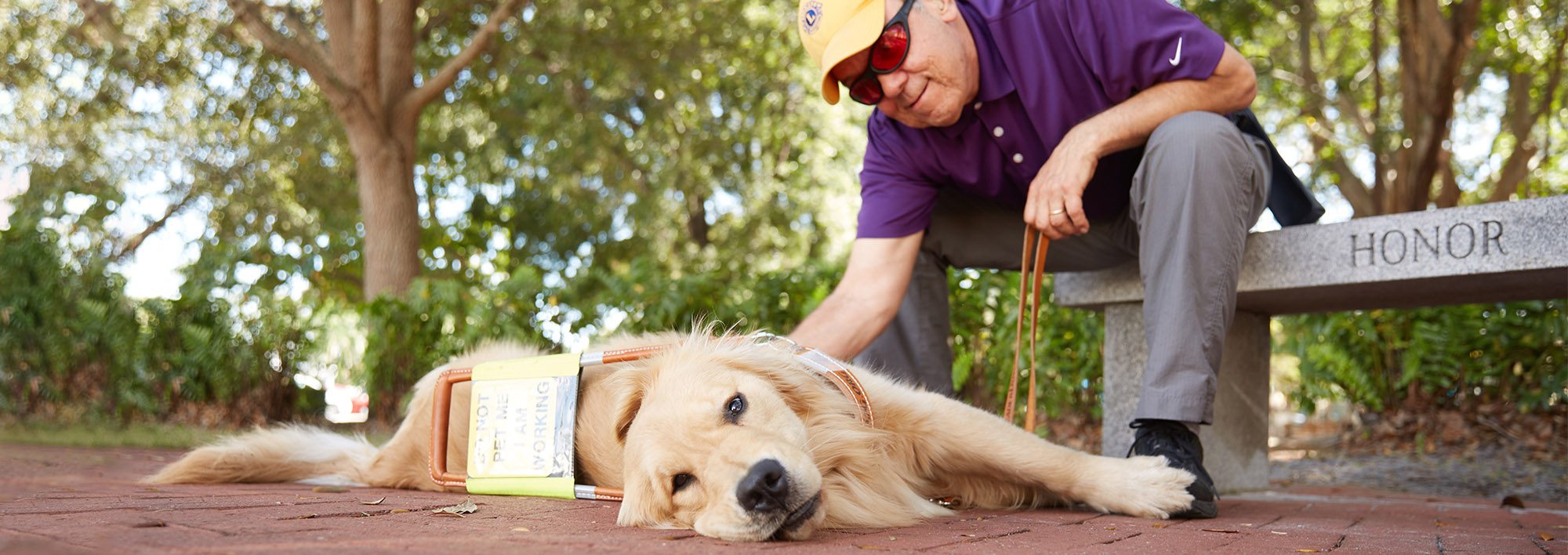 An older man wearing a yellow Lions club baseball cap sits on a outdoor bench on a sunny day. He is leaning over and petting a golden retriever in harness, who is lying on a brick pathway in front of the bench