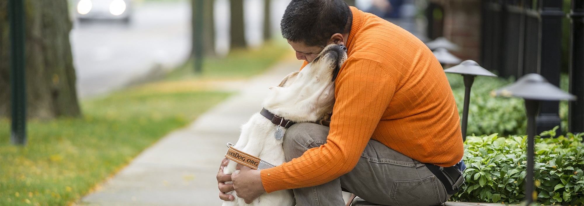 A man sits near a sidewalk, hugging a yellow Labrador in leather Leader Dog harness