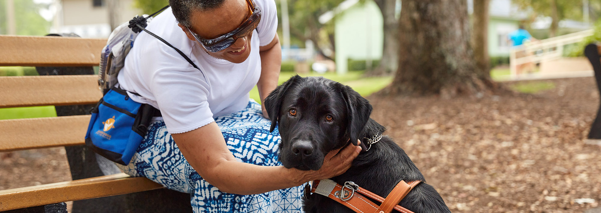 Guide Dog Training Leader Dogs for the Blind
