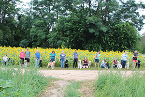 A line of people each with their own dog standing in front of some tall yellow flowers with trees in the background.