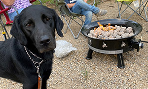The head and front torso of a black Labrador retriever standing in an area covered with small stone. In the background are the bottom halves of two people sitting on lawn chairs. There is also a round, black metal fire pit.